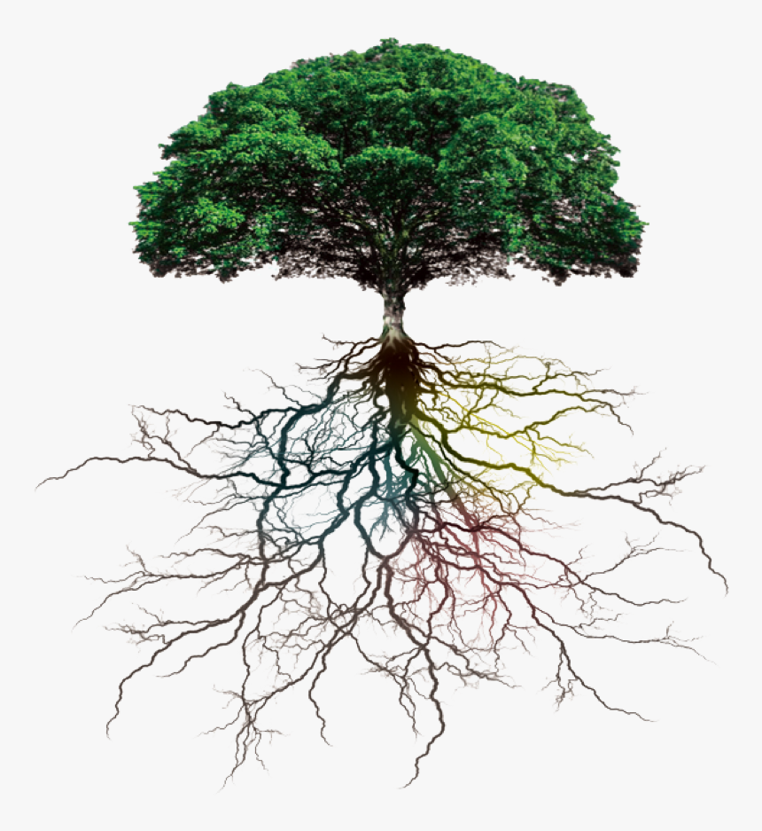 Tree to tree