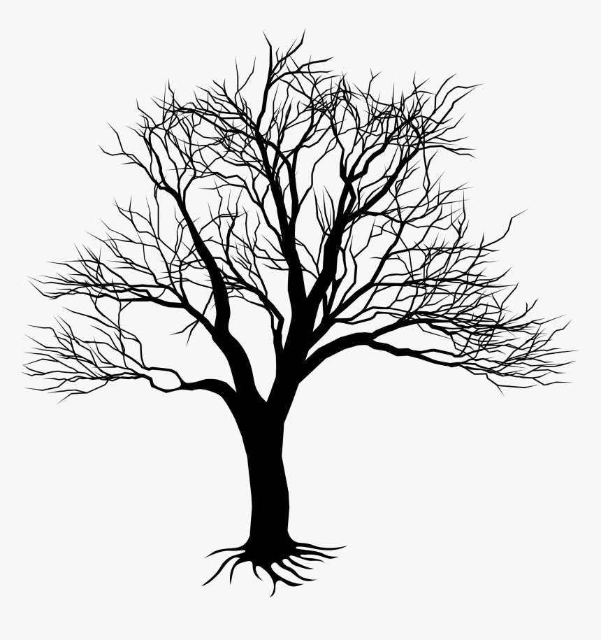 Silhouette Tree Royalty-free - Kill A Mockingbird Tree, HD Png Download
