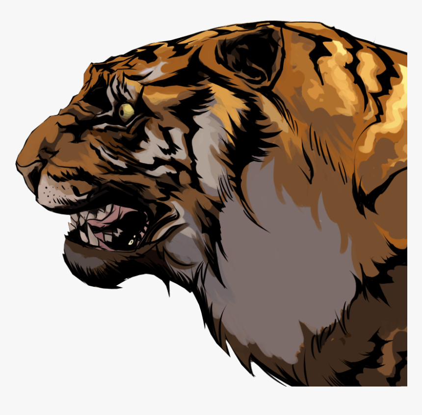 Siberian Tiger, HD Png Download