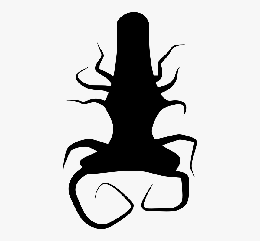 Tree, Roots, Twisted, Black, Silhouette, Plant - Akar Png, Transparent Png