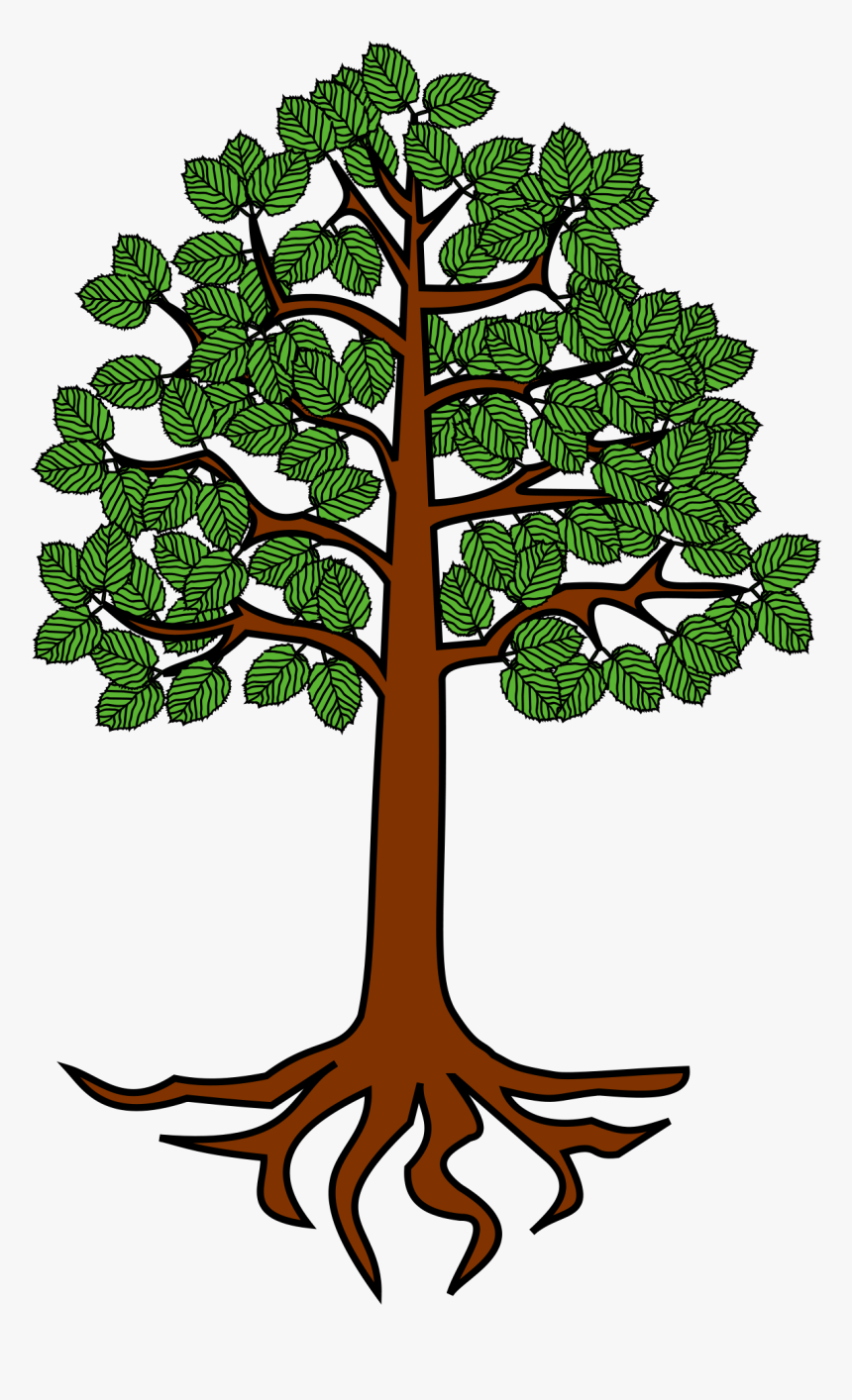 Tree Root Trunk Clip Art - Aulnay Sous Bois, HD Png Download