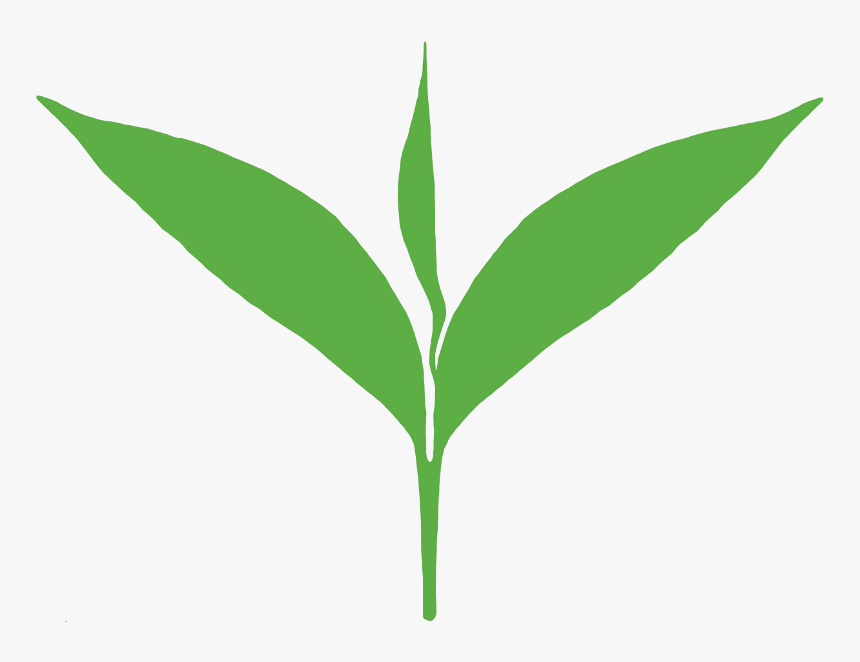 Clipart Leaves Green Tea Leaf - Tea Leaf Clipart Png, Transparent Png