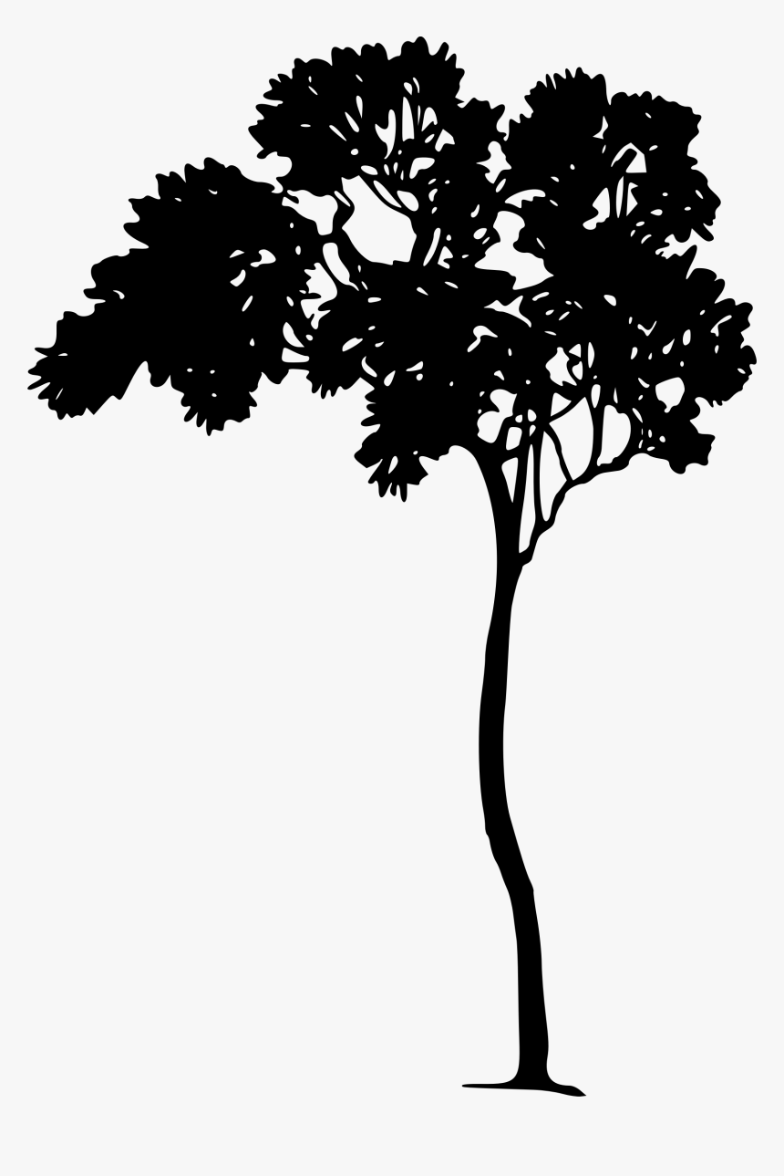 Tree Silhouette Clip Arts - Arthur Rackham Silhouette, HD Png Download