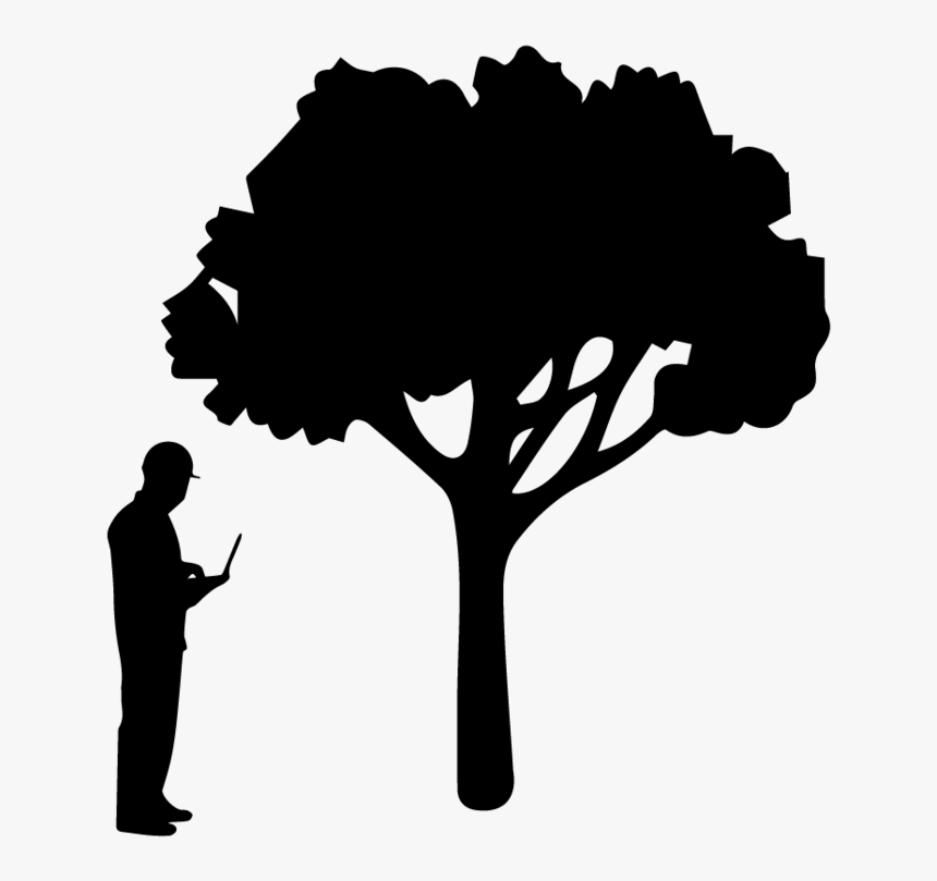 Consultancy - Evolution Of Zip Line, HD Png Download