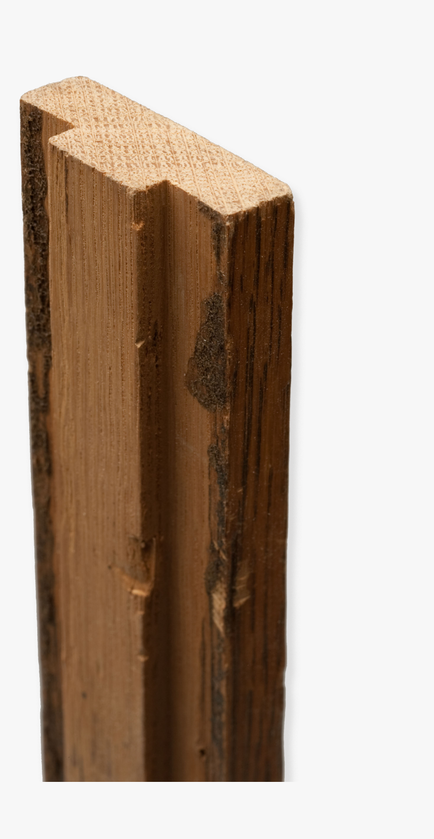 File - On-parliamentdoor - Plywood, HD Png Download