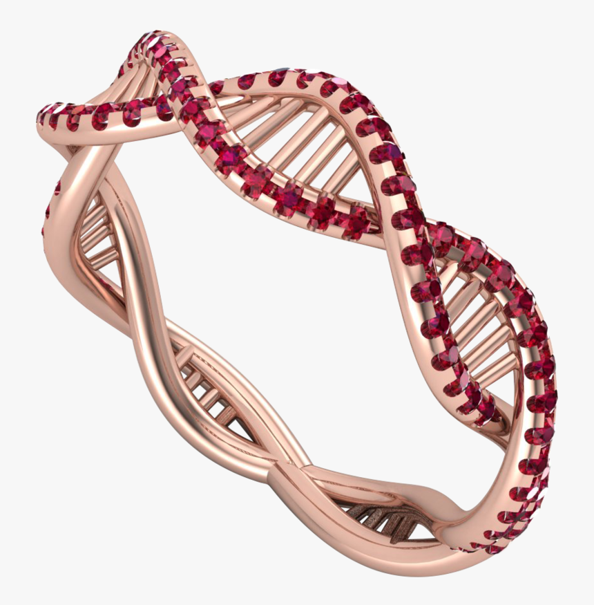 Transparent Gold Accent Png - Corn Snake, Png Download