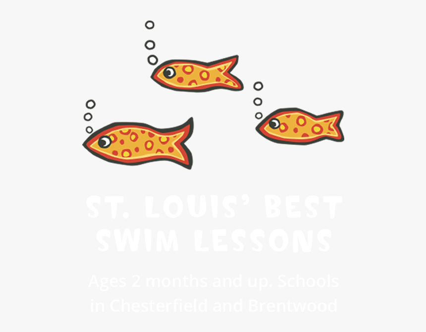 Little Fishes Swim School Is Meant To Provide Your, HD Png Download