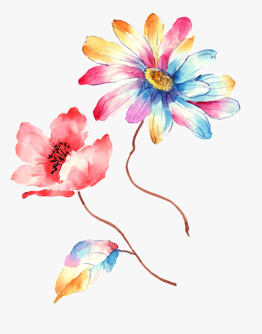 Colorful Gradient Hand Drawn Chrysanthemum Decorative - Illustration, HD Png Download