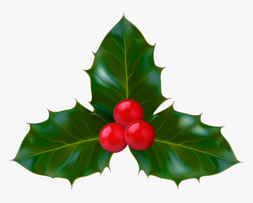 Png Holly Clipart - Clipart Holly Png, Transparent Png