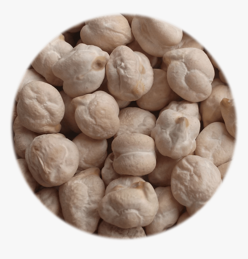 Milky White Chickpea - Dessert, HD Png Download