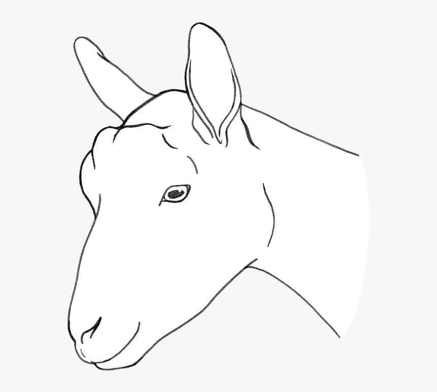 Working Animal, HD Png Download