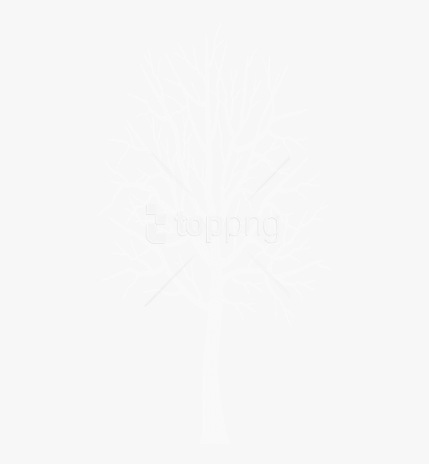 Free Png White Winter Tree Png Images Transparent - Tree Clipart White Png, Png Download
