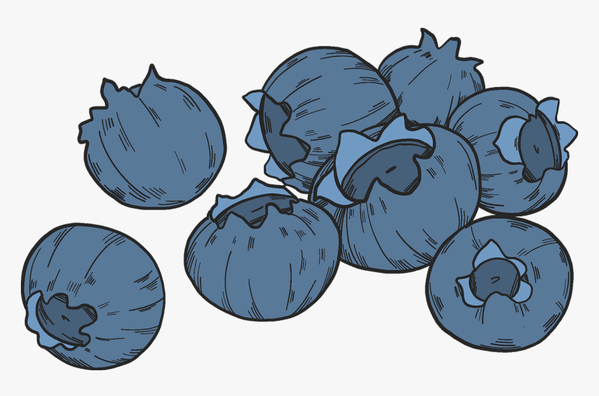 Blueberries Clipart - Seedless Fruit, HD Png Download