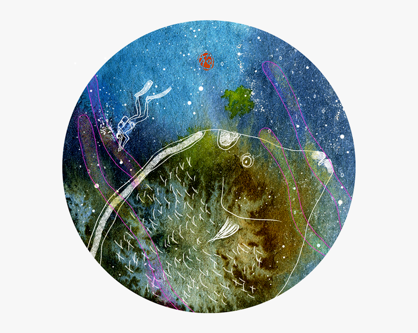 Dive, Watercolor And Digital Illustration - Circle, HD Png Download