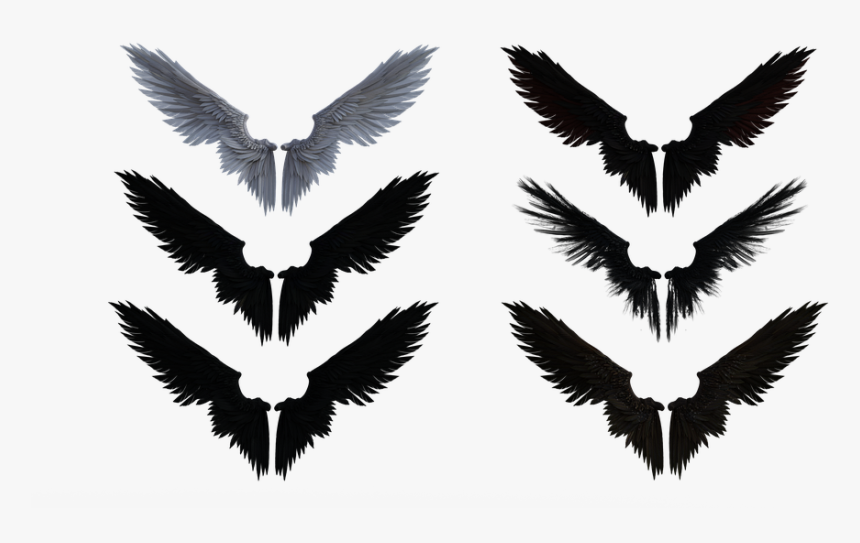 Eagle, HD Png Download