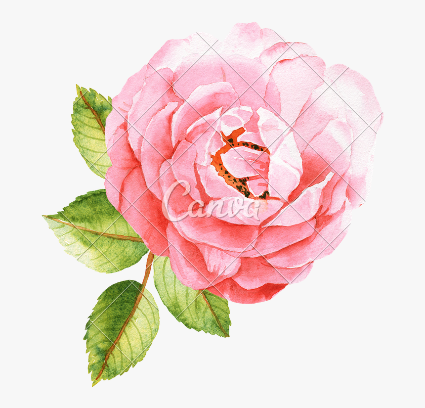 Happy National Aesthetician Day, HD Png Download