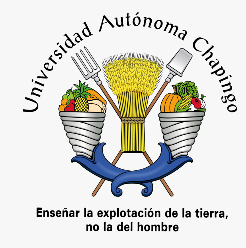 Logo Universidad Autonoma Chapingo, HD Png Download