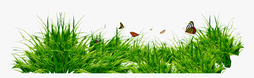 Bordes Decorativos Png - Grass Png Without Background, Transparent Png