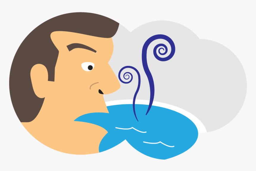 Pool Water Chemistry Lesson - Illustration, HD Png Download