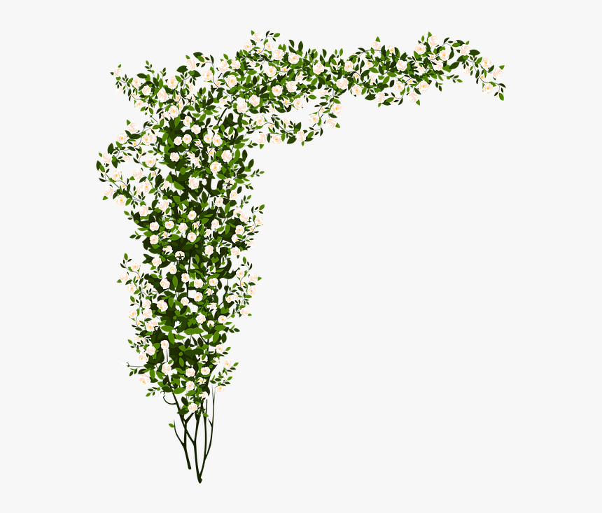 Arrangement Flowers Green Small Flower - Green And White Flowers Png, Transparent Png