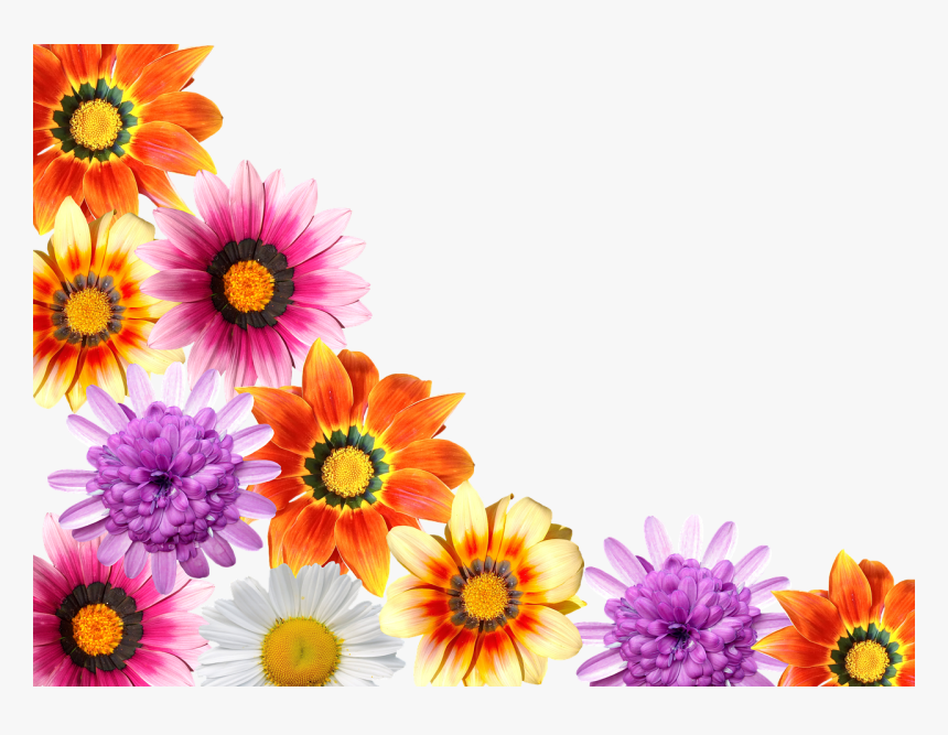 Flores Verão Png, Transparent Png
