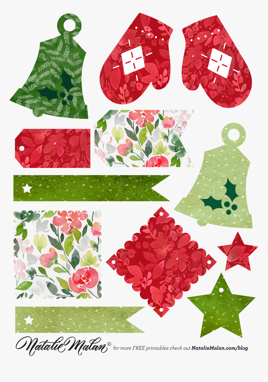 Rose, HD Png Download