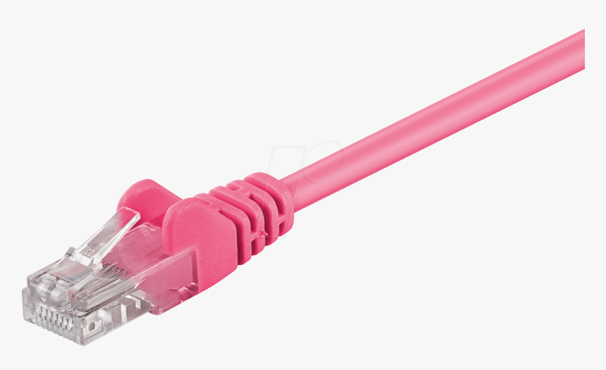 5e U/utp Network Cable, Magenta Frei - Síťový Kabel, HD Png Download