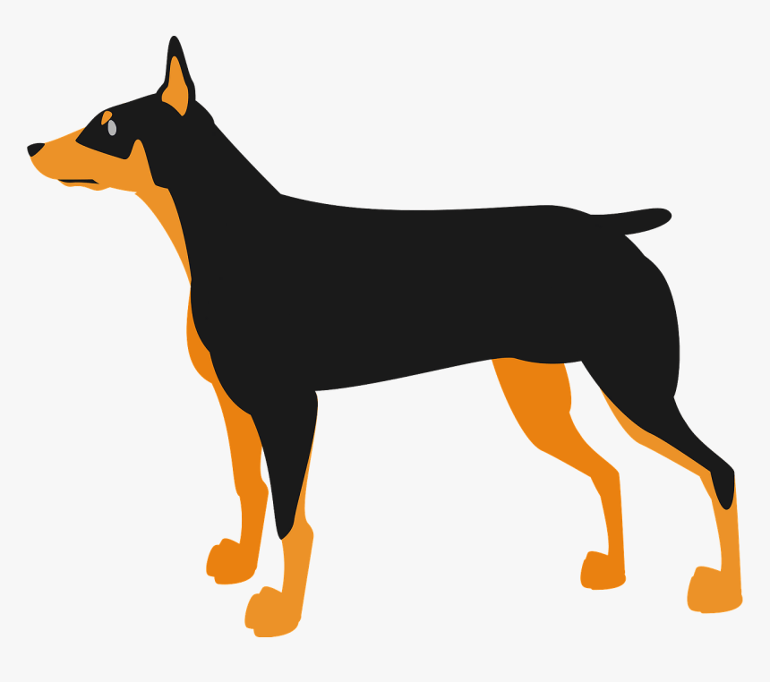 Doberman Pinscher Dog Animal Clipart - Dobermann, HD Png Download