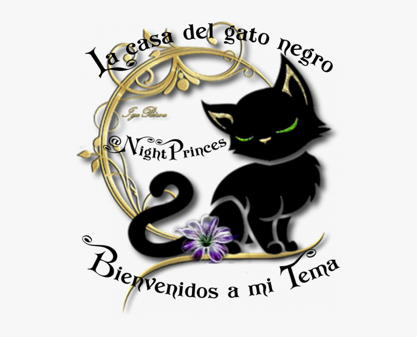 Feliz Cumpleaños Sergio @skywalker2214 - Dia Internacional De La Mujer Con Gato, HD Png Download