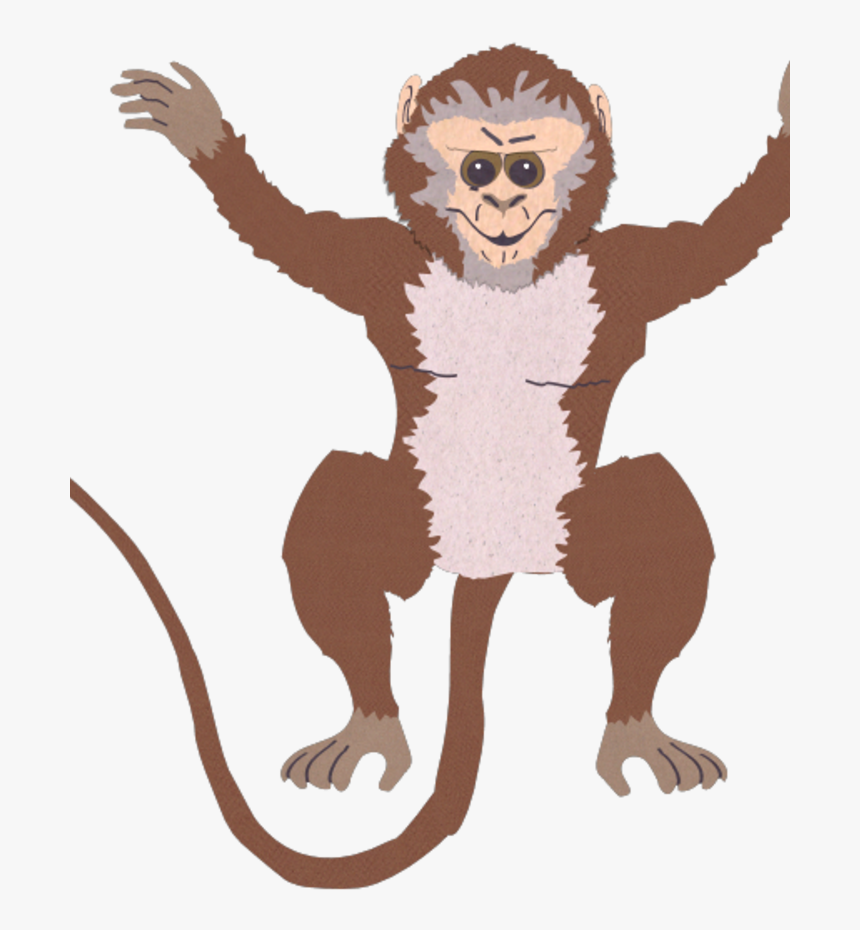 Marmoset, HD Png Download