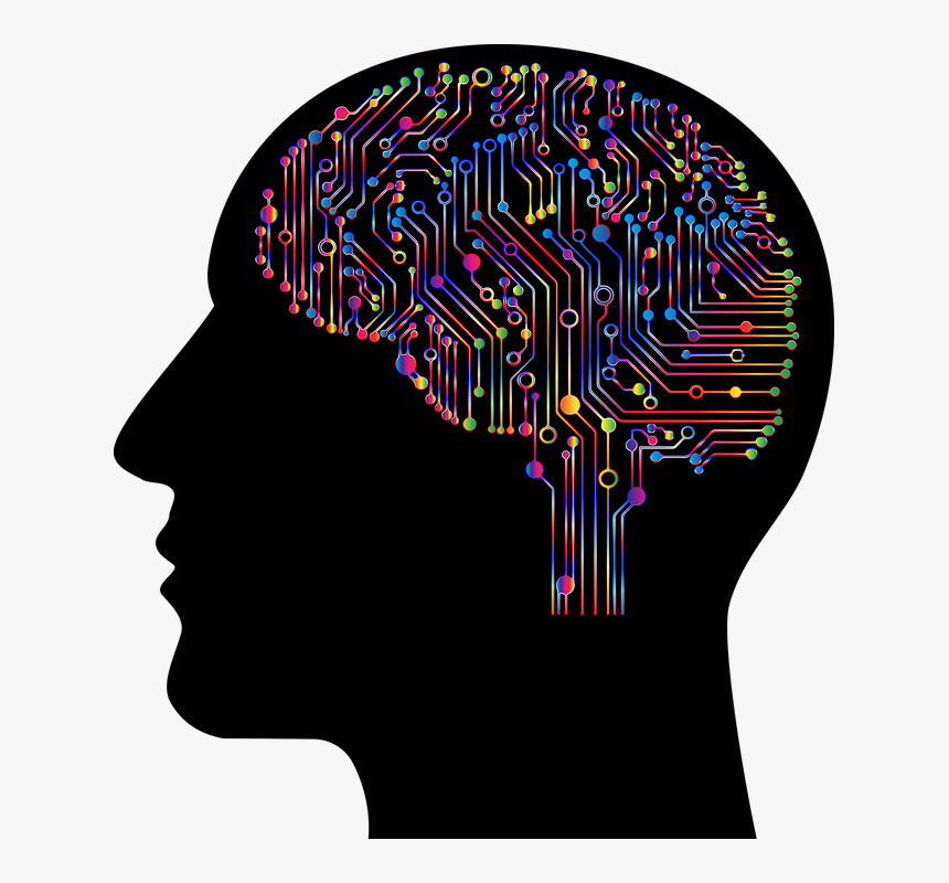 Brain, HD Png Download