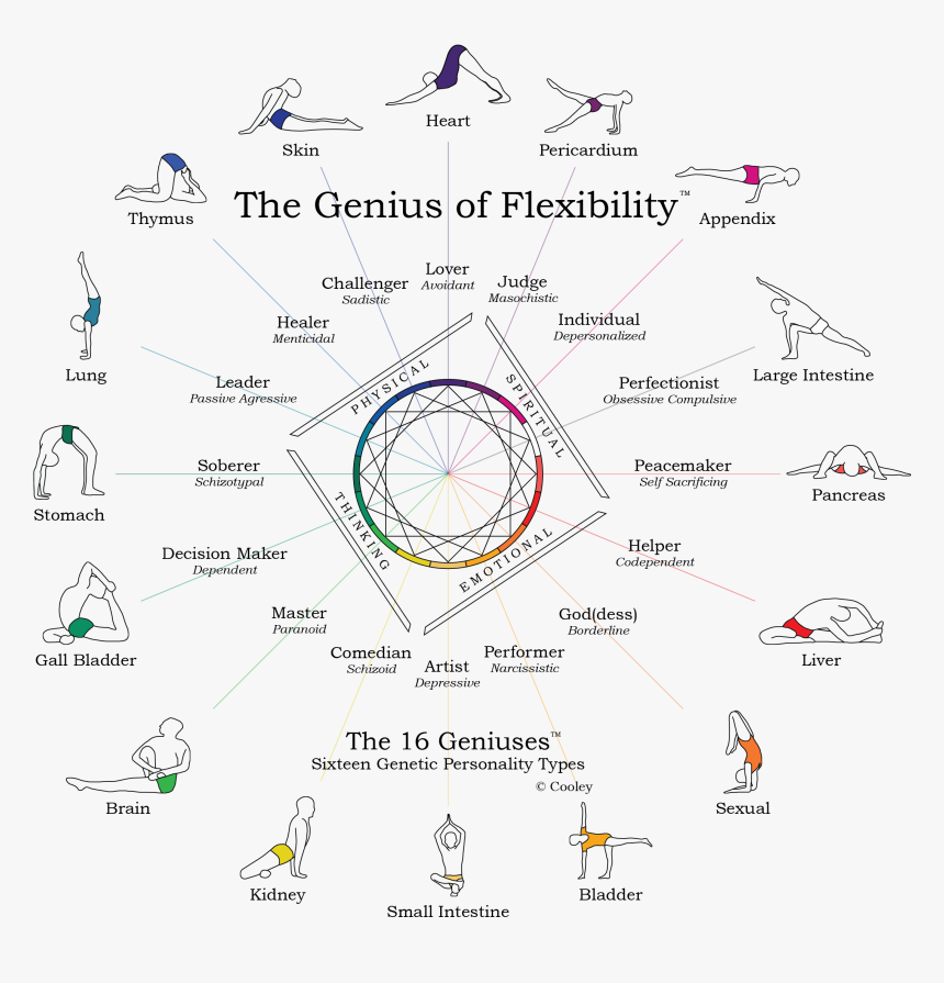 The Genius Of Flexibility - Genius Of Flexibility, HD Png Download