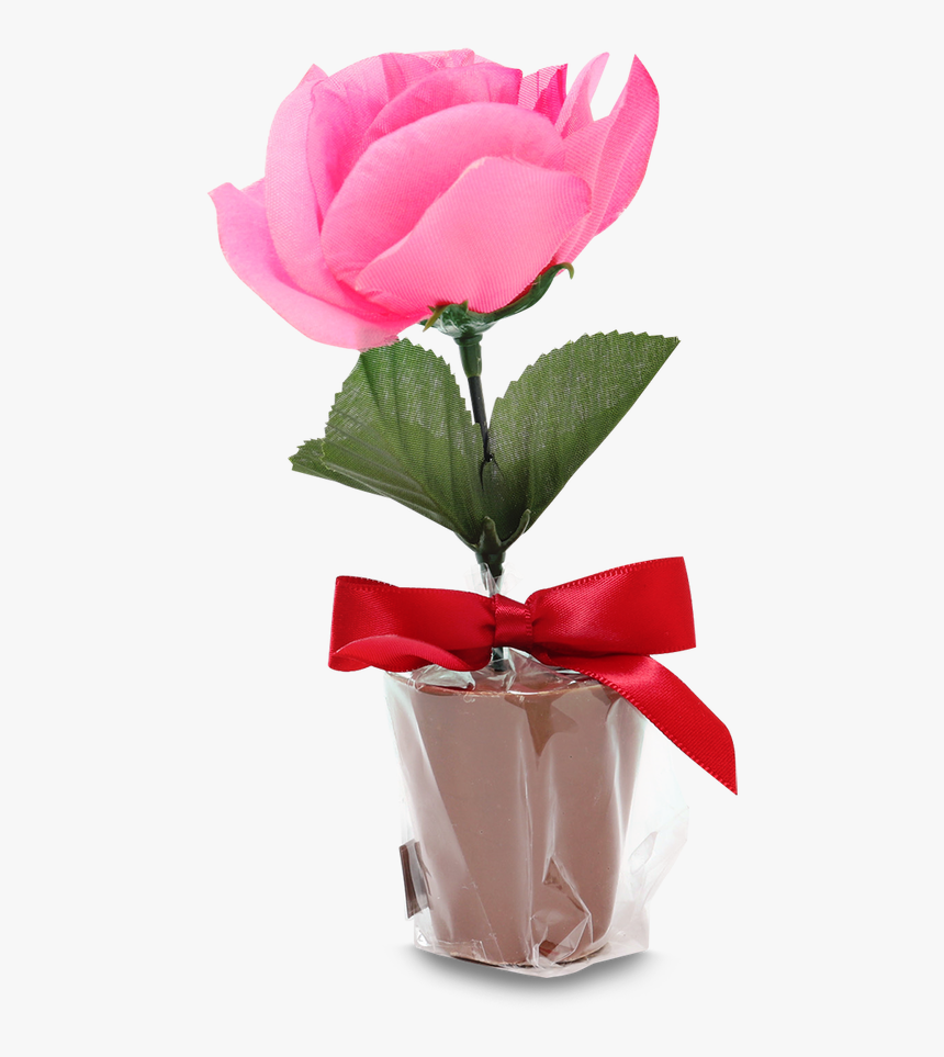 Garden Roses, HD Png Download