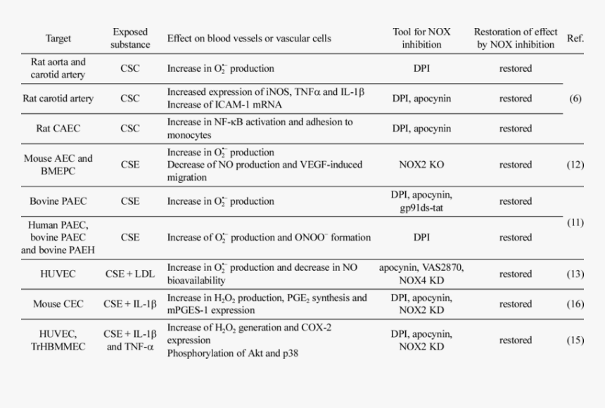 Document, HD Png Download