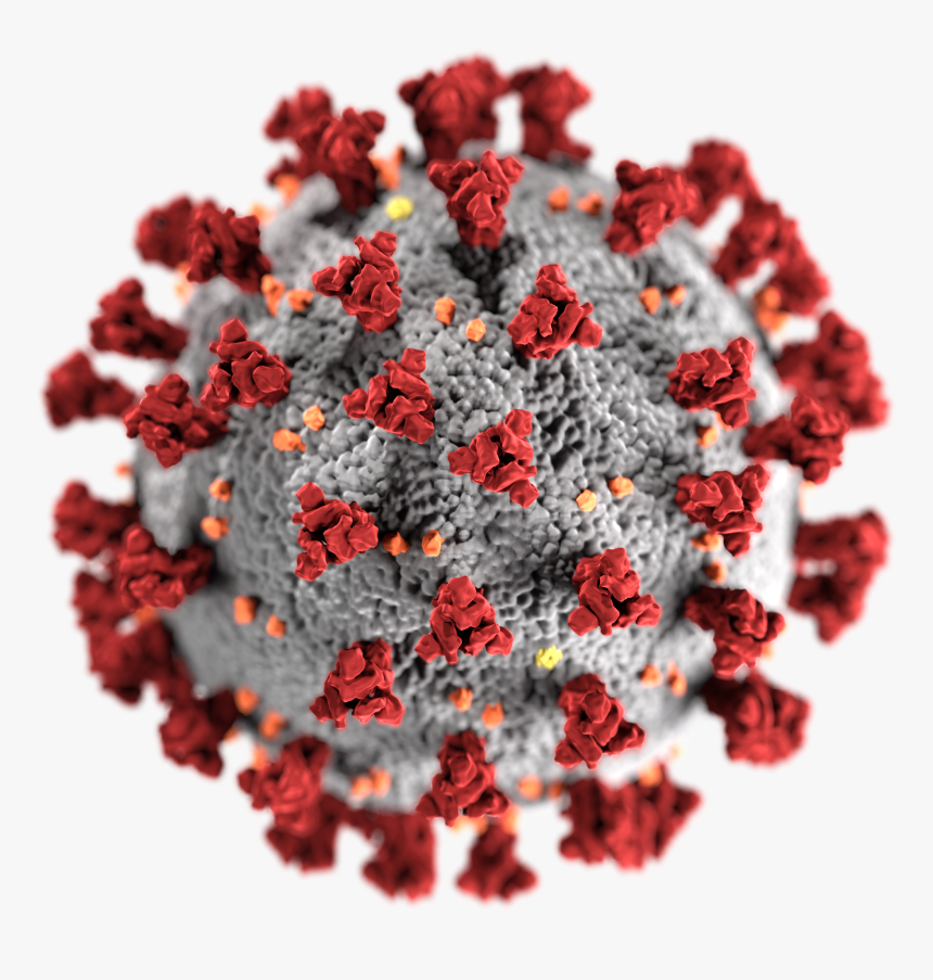 Sars Cov 2 Without Background - Covid 19, HD Png Download
