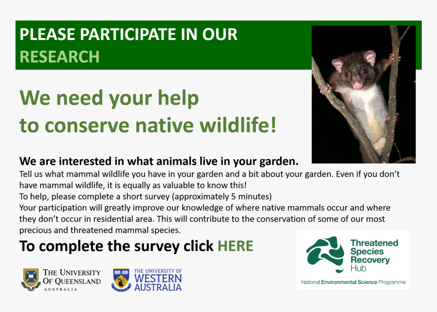 Transparent Possum Png - University Of Western Australia, Png Download
