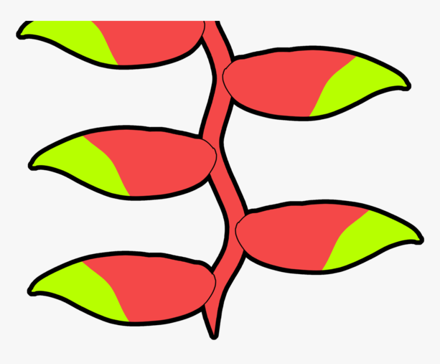 Heliconia Rostrata /, HD Png Download