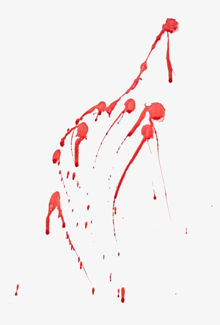 Line Point Blood H&m - Blood, HD Png Download