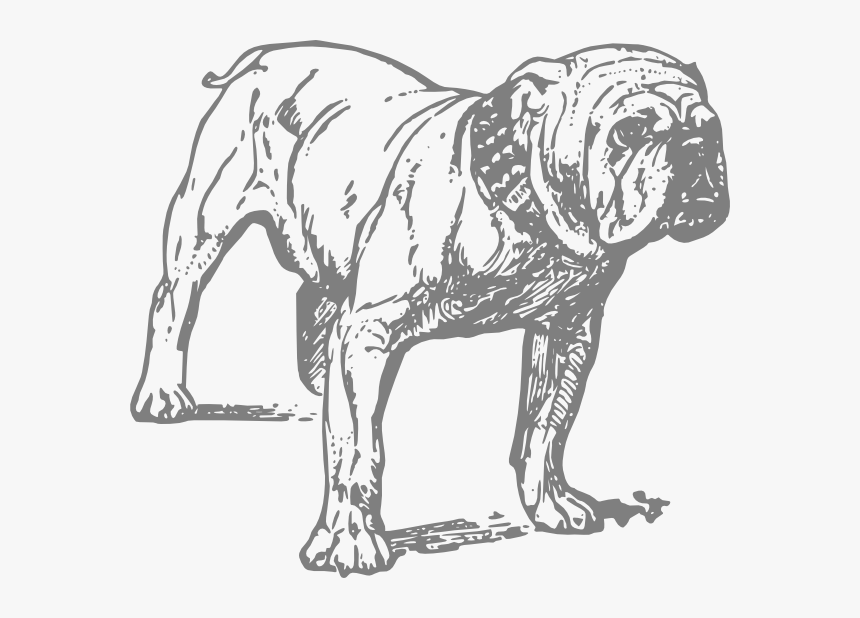 dessin de chien bulldog hd png download transparent png image pngitem pngitem
