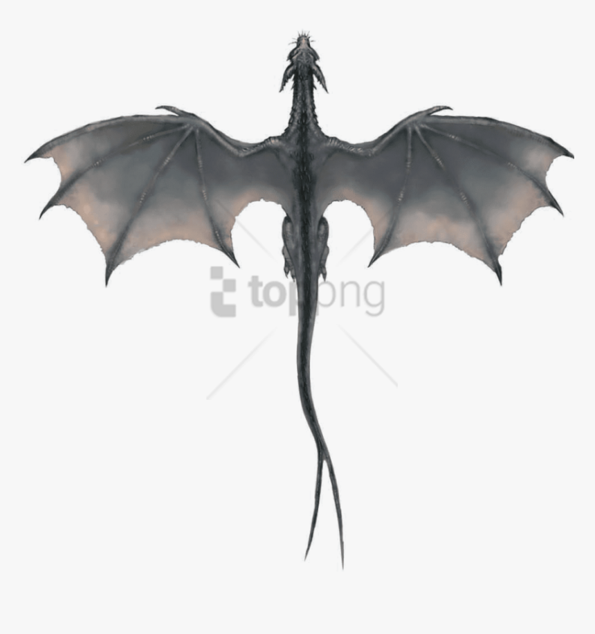 Free Png Gray Dragon Png Image With Transparent Background - Game Of Thrones Dragon Wings, Png Download