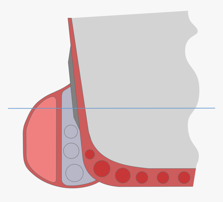 Bulges Antitorpedos, HD Png Download