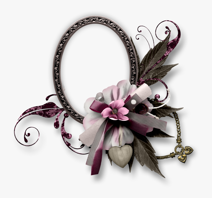 Lily Family, HD Png Download