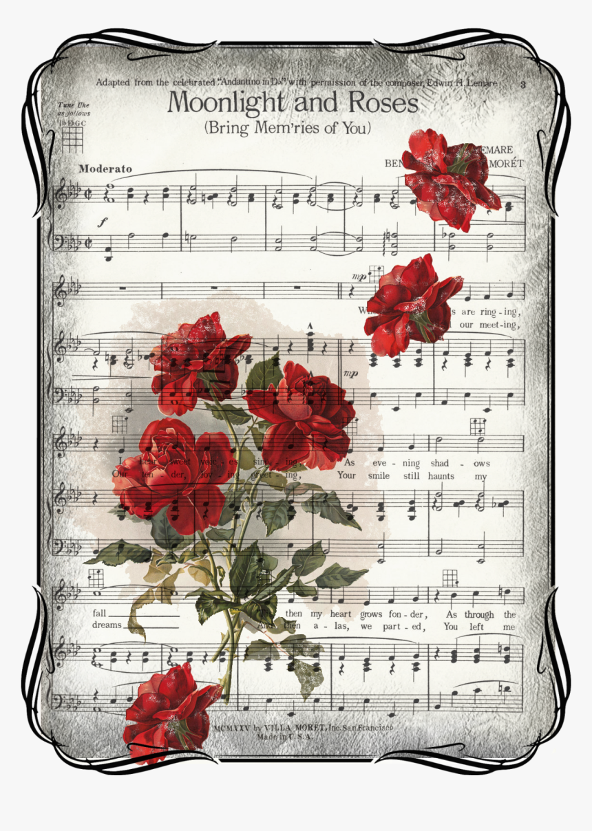 Pentagrama Musical Png, Transparent Png