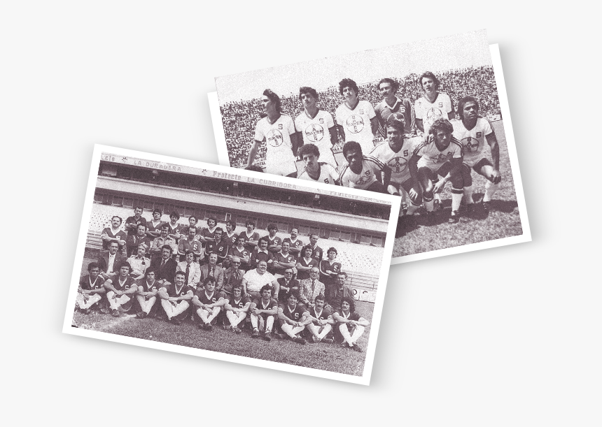 Transparent Saprissa Png - Social Group, Png Download