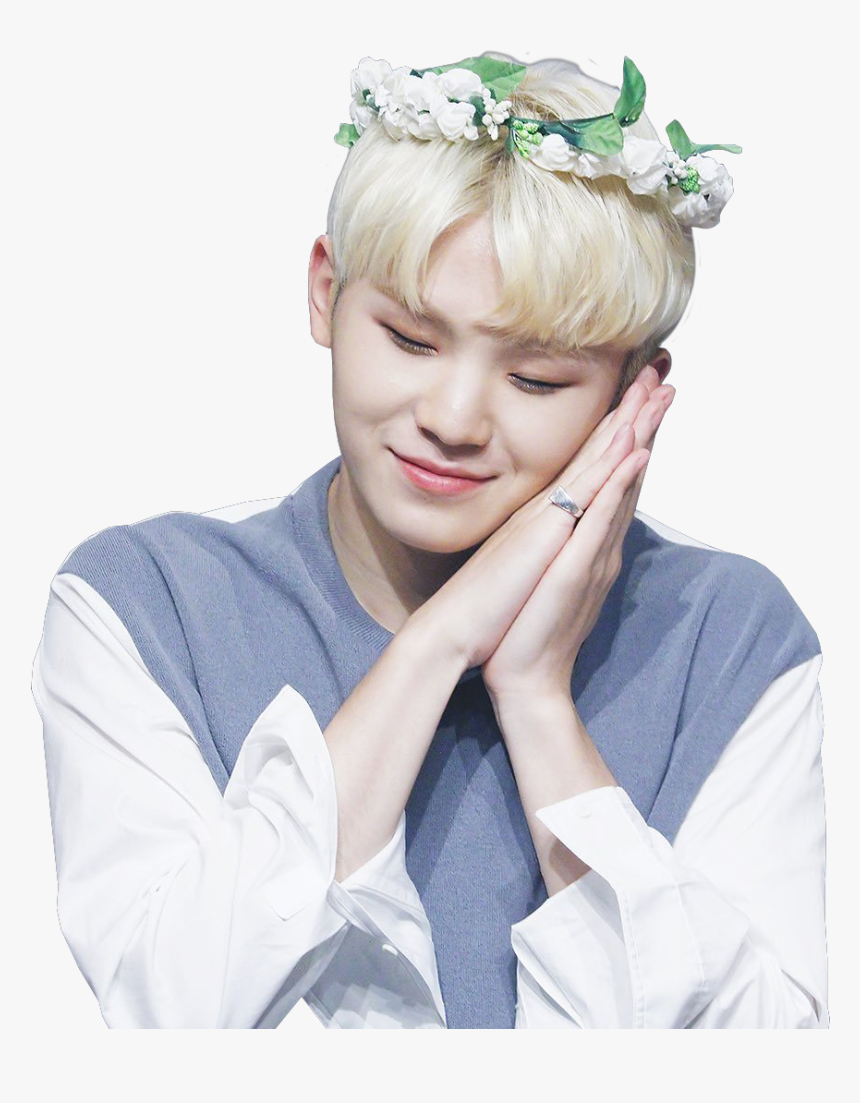 Woozi Seventeen Stickers Png , Png Download - Seventeen Woozi Png, Transparent Png