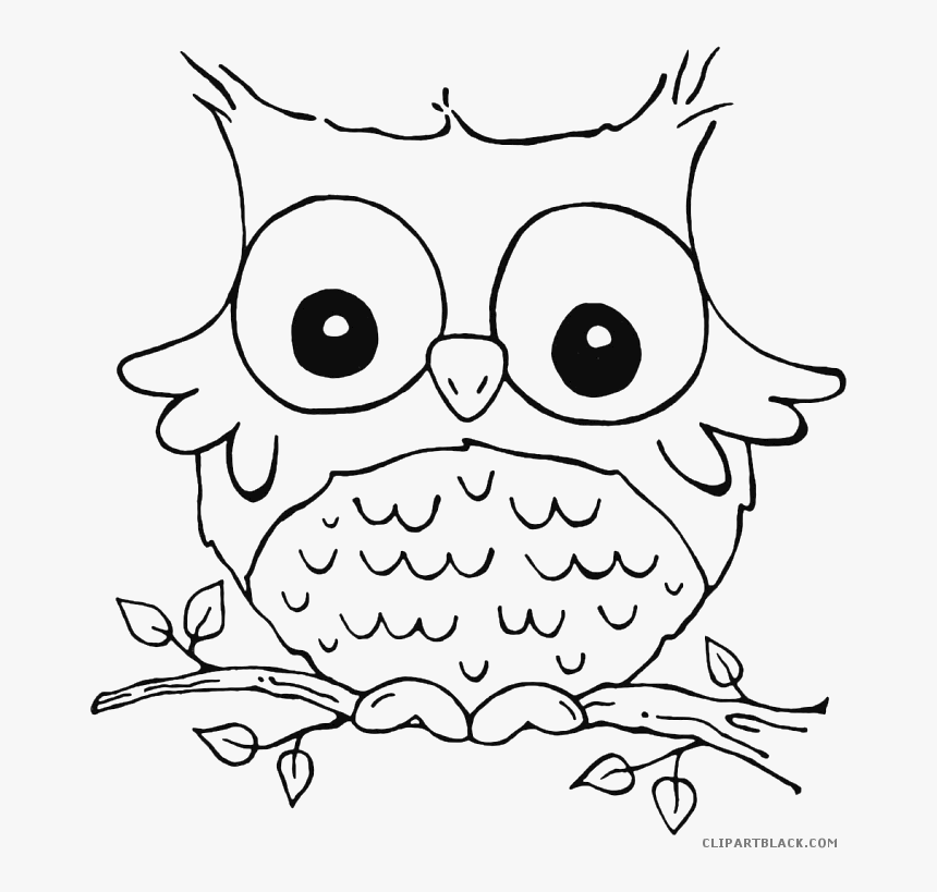 Transparent Owl Face Png - Animal Coloring Pages Owl, Png Download