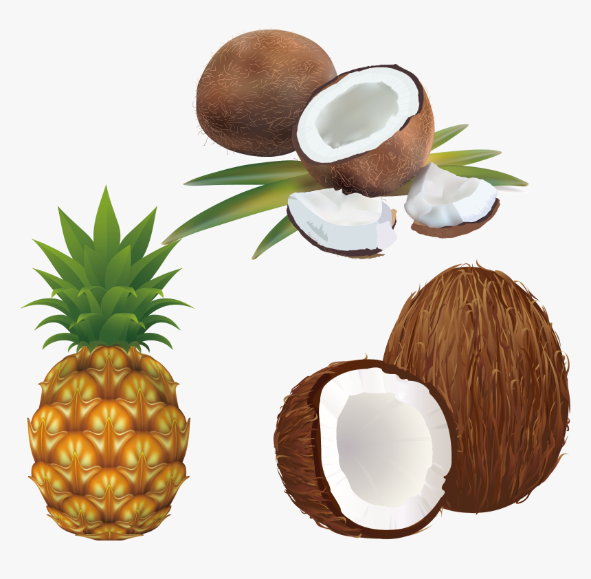 Leaves Clipart Pineapple, HD Png Download