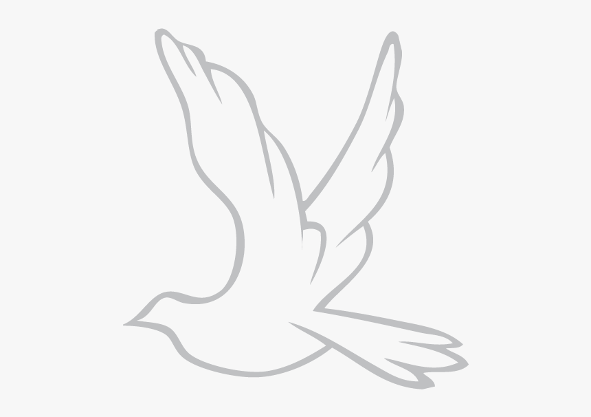 Dove Png, Transparent Png