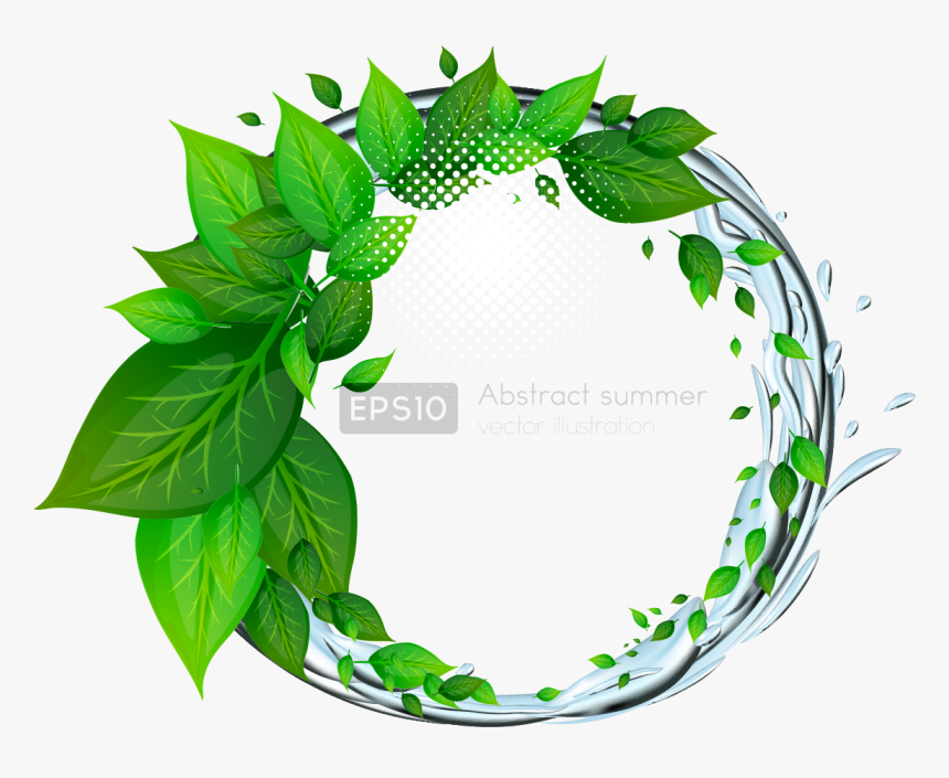 Transparent Green Leaf Png, Png Download