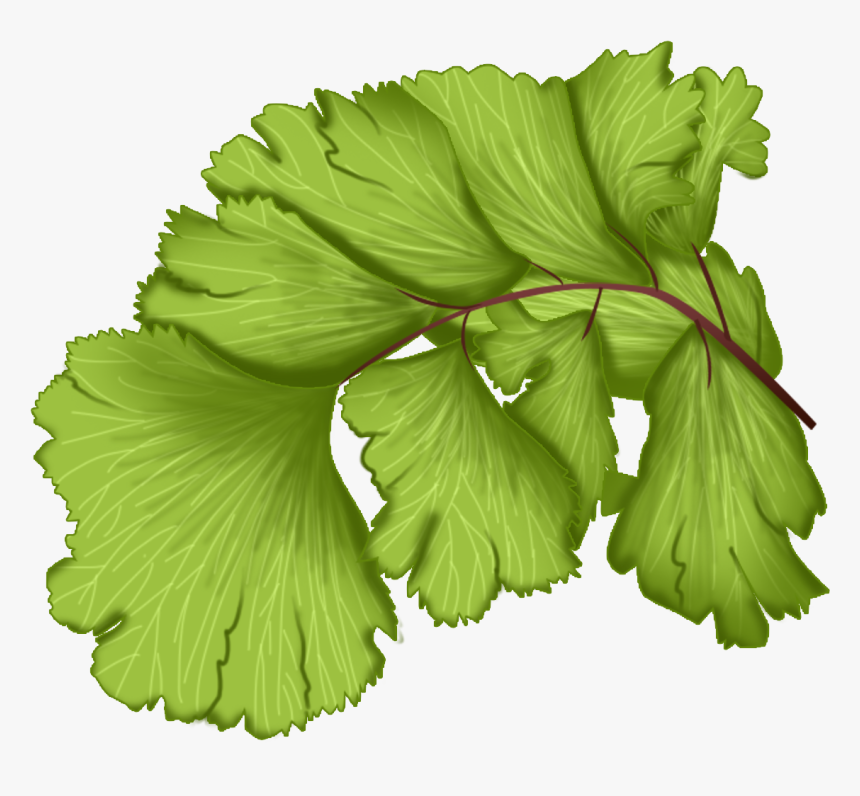 Transparent Vector Leaves Png, Png Download